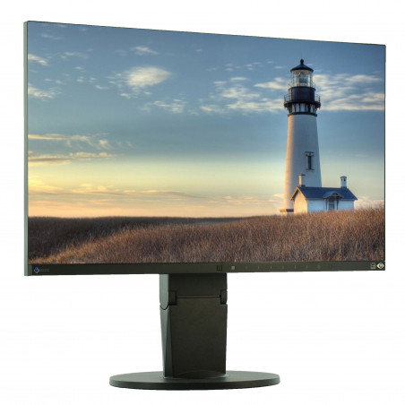 EIZO Flexscan EV2450 24" IPS LED LCD Monitor - Grade A - 1