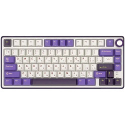 ROYAL KLUDGE R75 Blackberry Mousse Gaming Keyboard K silver switch - 1