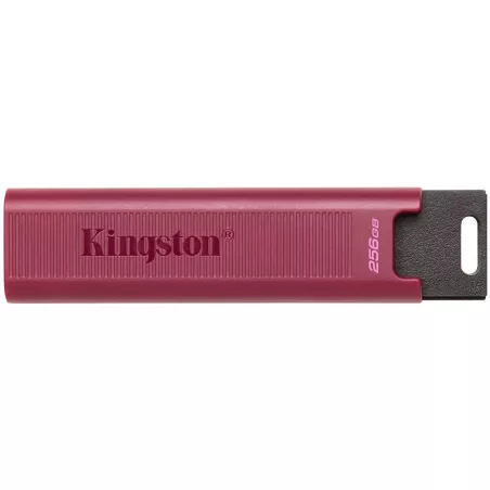 KINGSTON 256GB USB 3.2 Gen 2 DataTraveler Max, Type-A - 1