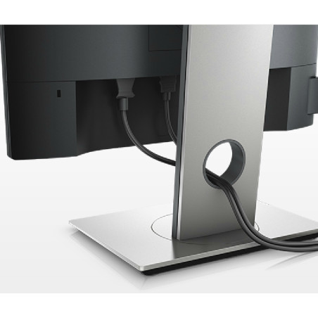 Monitor LED DELL Professional P1917S 19", 1280x1024, 5:4, IPS, 1000:1, 178/178, 6ms, 250cd/m, VESA, VGA, HDMI, DisplayPort, USB 