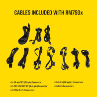 CORSAIR RM750x 750 Watt 80 PLUS GOLD Certified Fully Modular Power Supply - 6