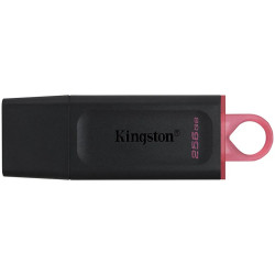 Kingston 256GB USB3.2 Gen1 DataTraveler Exodia (Black + Pink) - 1