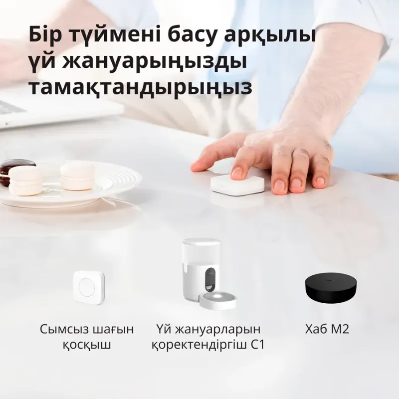 Pet Feeder C1: Model No: PETC1-M01 SKU: AM036GLW01 - 1