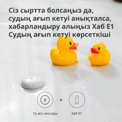 Aqara Hub E1: Model No: HE1-G01 SKU: AG022GLW01 - 42