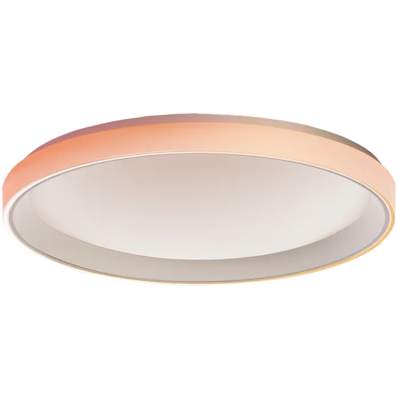 Aqara Ceiling Light T1M: Model No: CL-L02D - 1