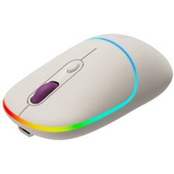 CANYON mouse MW-22 2in1 BT/ Wireless Rice - 9