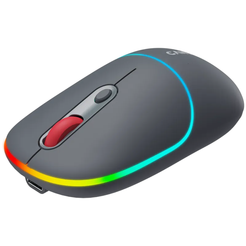 CANYON mouse MW-22 2in1 BT/ Wireless Dark Grey - 1