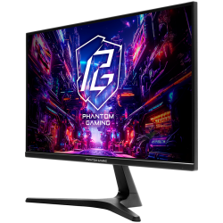 Asrock Gaming Monitor PG25FFT, 24.5 inch FHD(1920x1080) IPS, 180 Hz, 126% sRGB, 1100:1, 250 cd/m, AMD FreeSync, View angle 178 /