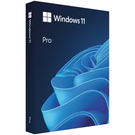 Microsoft Win Pro N 11 64-bit All Languages Online Product Key License 1 License Downloadable ESD NR - 1