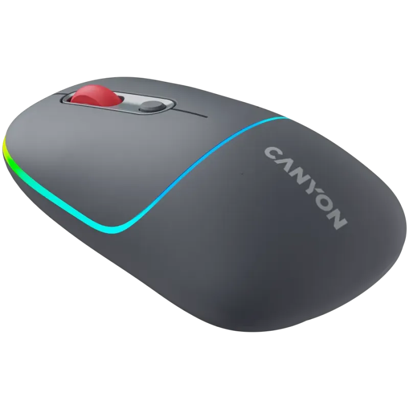 CANYON mouse MW-22 2in1 BT/ Wireless Dark Grey - 1