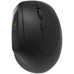 CANYON mouse MW-25 Ergonomic LED AA Dual mode Wireless Black - 1