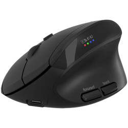 CANYON mouse MW-25 Ergonomic LED AA Dual mode Wireless Black - 2