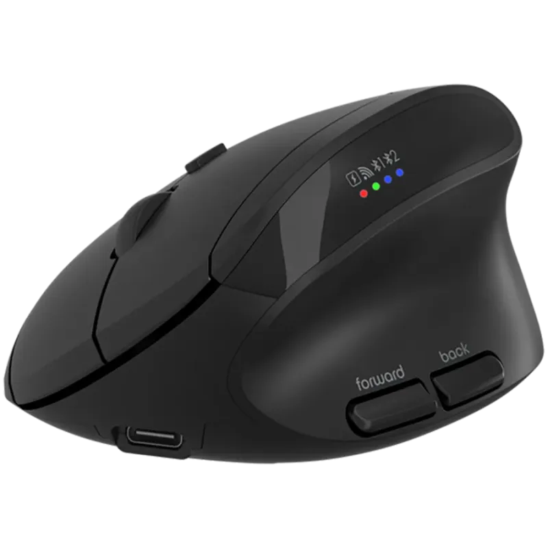 CANYON mouse MW-25 Ergonomic LED AA Dual mode Wireless Black - 1