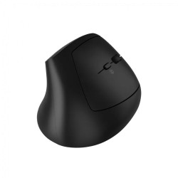 CANYON mouse MW-25 Ergonomic LED AA Dual mode Wireless Black - 3