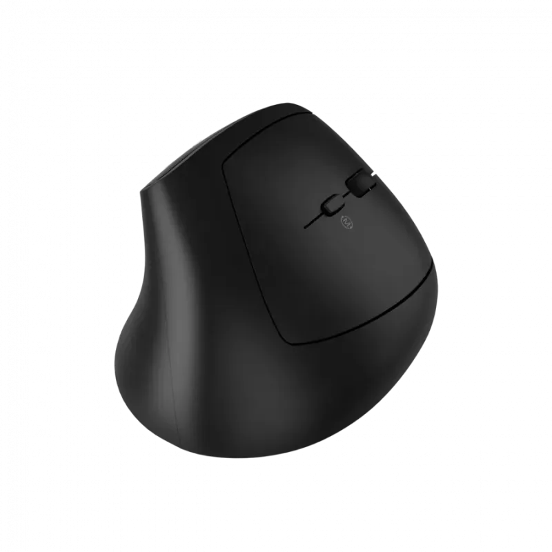CANYON mouse MW-25 Ergonomic LED AA Dual mode Wireless Black - 1