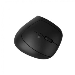 CANYON mouse MW-25 Ergonomic LED AA Dual mode Wireless Black - 4