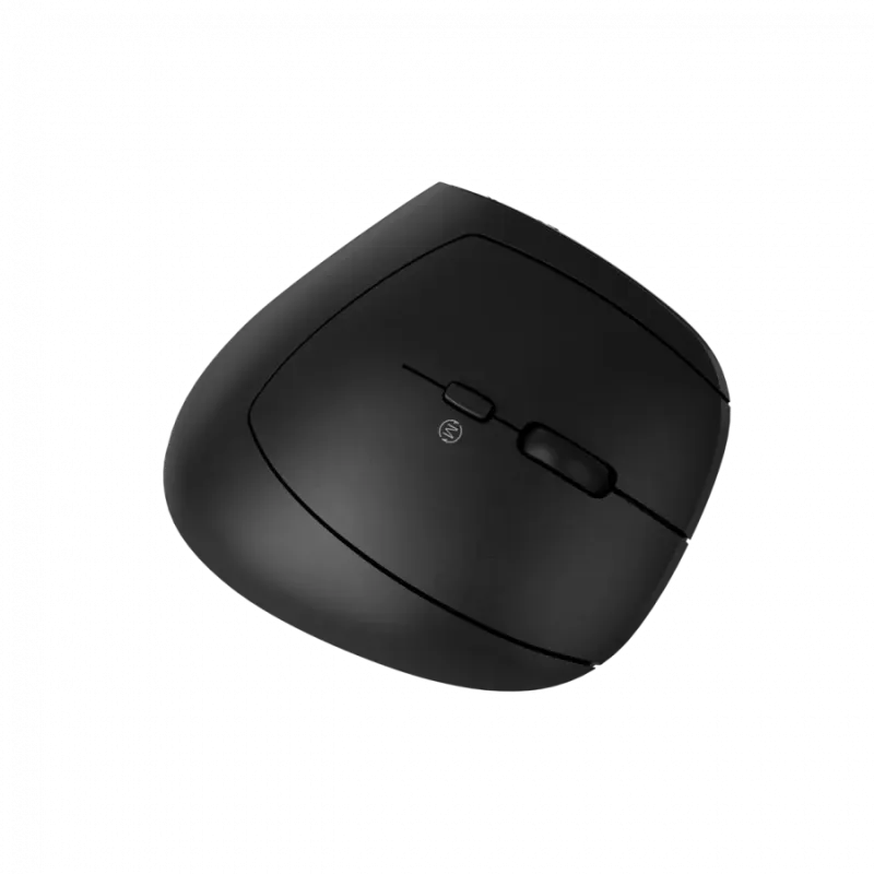 CANYON mouse MW-25 Ergonomic LED AA Dual mode Wireless Black - 1