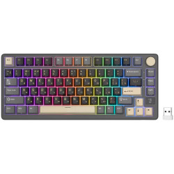 ROYAL KLUDGE RK-M75 Phantom Gaming Keyboard K Silver switch - 1