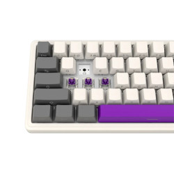 LORGAR KBP70MW, Wireless 65% Mechanical Gaming Keyboard Pro, Beige, EN layout - 8