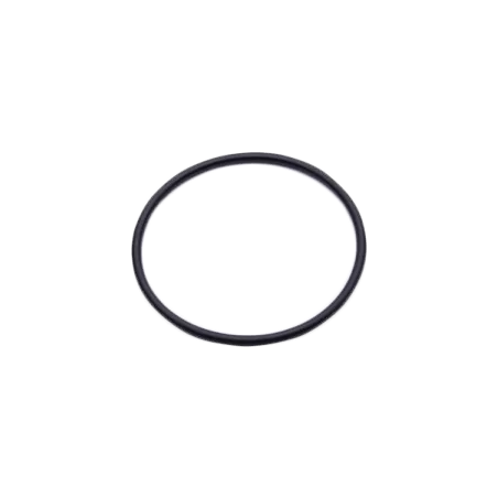 EK-D5 Pump O-Ring - 1