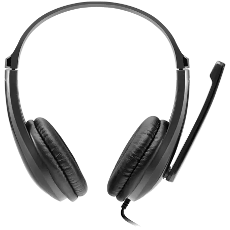 CANYON CHSU-1 basic PC headset with microphone, USB plug, leather pads, Flat cable length 2.0m, 160*60*160mm, 0.13kg, Black - 2