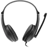 CANYON CHSU-1 basic PC headset with microphone, USB plug, leather pads, Flat cable length 2.0m, 160*60*160mm, 0.13kg, Black - 2
