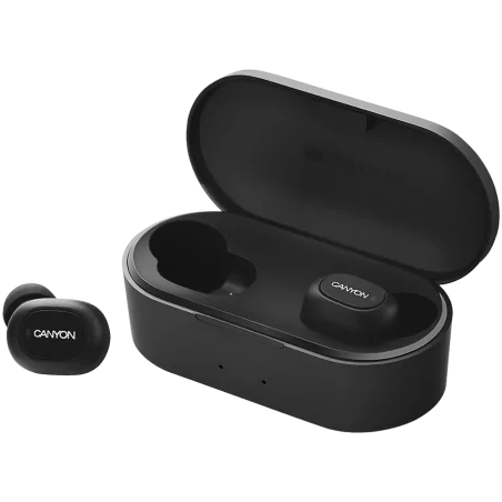 CANYON TWS-2 Bluetooth sport headset, with microphone, BT V5.0, RTL8763BFR, battery EarBud 43mAh*2+Charging Case 800mAh, cable l