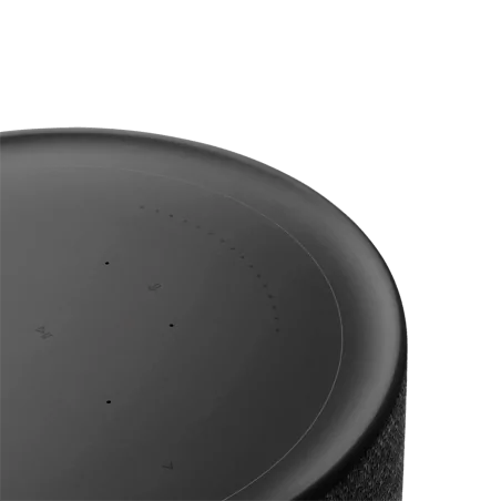 Beosound Balance AL2 Black oak - FLEX - 3