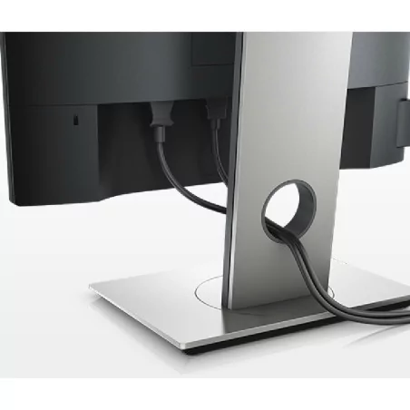 Monitor LED DELL Professional P1917S 19", 1280x1024, 5:4, IPS, 1000:1, 178/178, 6ms, 250cd/m, VESA, VGA, HDMI, DisplayPort, USB 