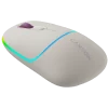 CANYON mouse MW-22 2in1 BT/ Wireless Rice - 2