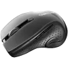 CANYON 2.4Ghz wireless mouse, optical tracking - blue LED, 6 buttons, DPI 1000/1200/1600, Black pearl glossy