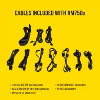 CORSAIR RM750x 750 Watt 80 PLUS GOLD Certified Fully Modular Power Supply - 6